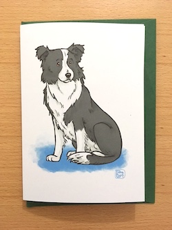 Border Collie