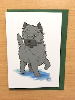 Cairn terrier