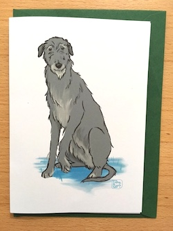 Scottish Deerhound