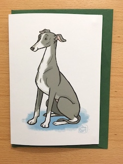 Greyhound