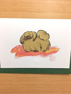 peke