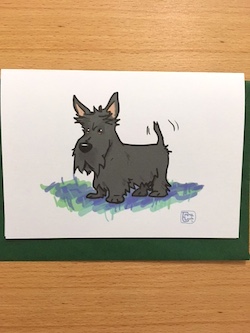 Scottie