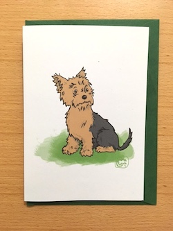 yorkie