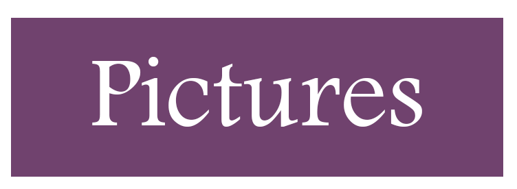 Pictures