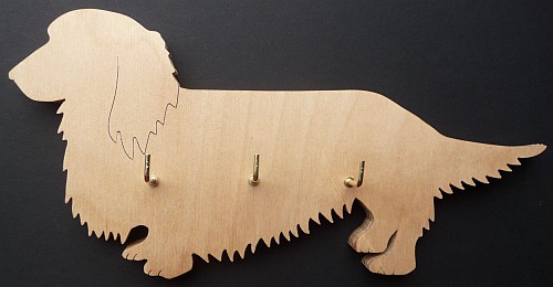 Long Haired Dachshund
