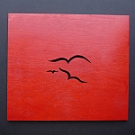 Sea Gull Design