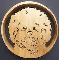 Bichon Friese