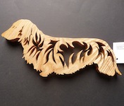 Celtic Long Haired Dachshund 