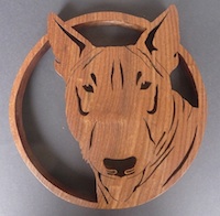 bull terrier