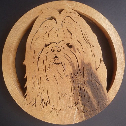 Shihtzu