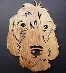 spinone