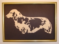 Dachshund Picture